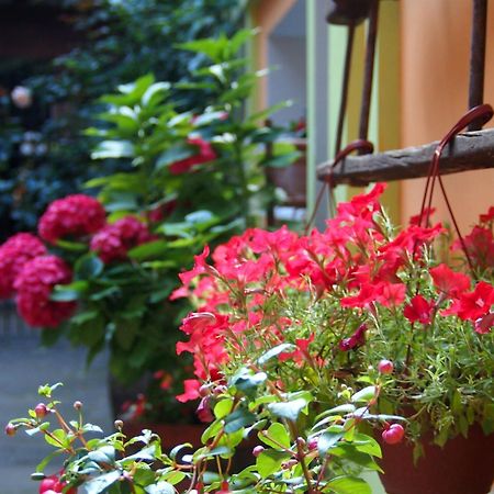 Guest Accommodation Etno Konak Tasana Nis Bagian luar foto