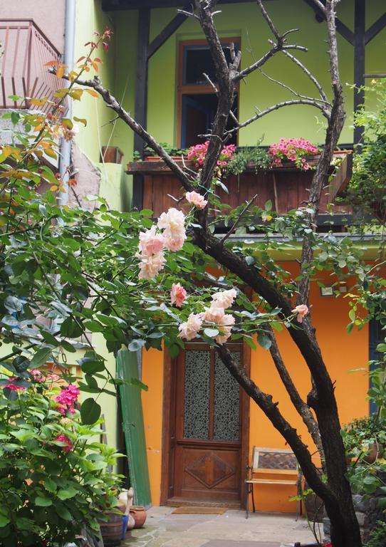 Guest Accommodation Etno Konak Tasana Nis Bagian luar foto
