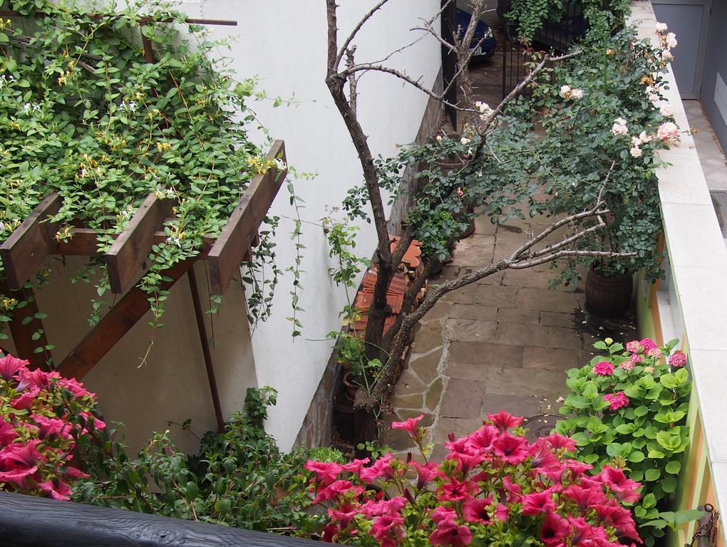 Guest Accommodation Etno Konak Tasana Nis Bagian luar foto
