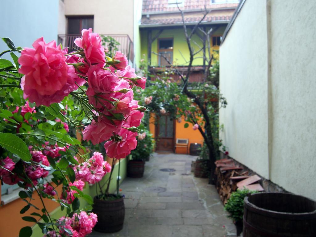 Guest Accommodation Etno Konak Tasana Nis Bagian luar foto