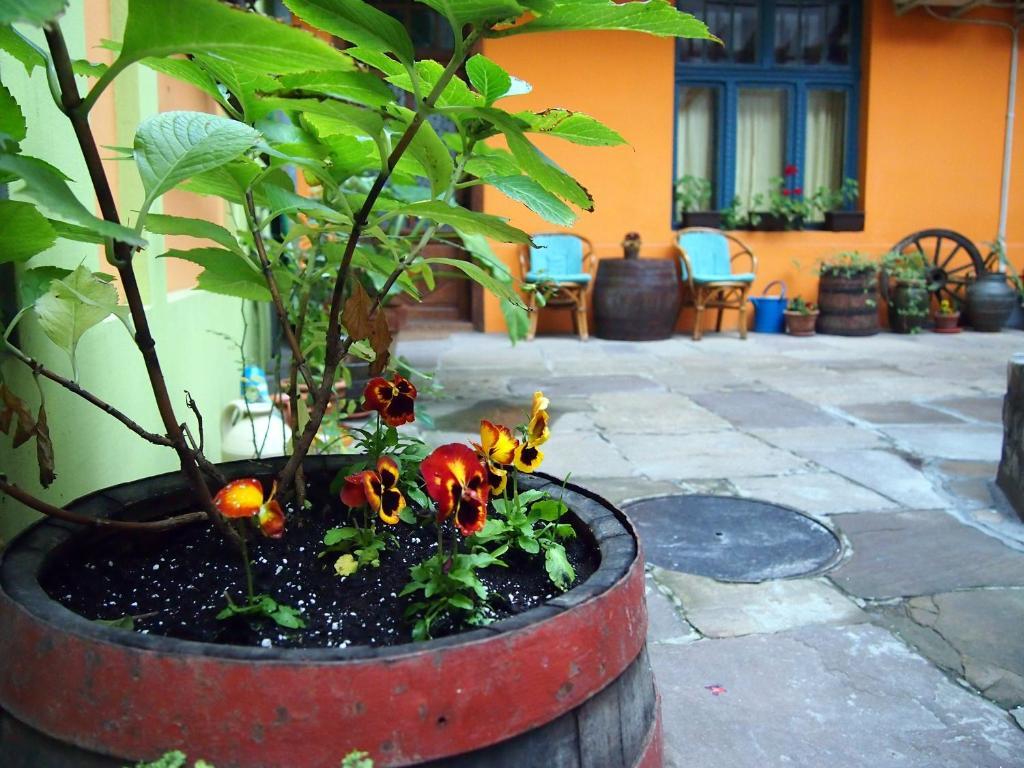 Guest Accommodation Etno Konak Tasana Nis Bagian luar foto