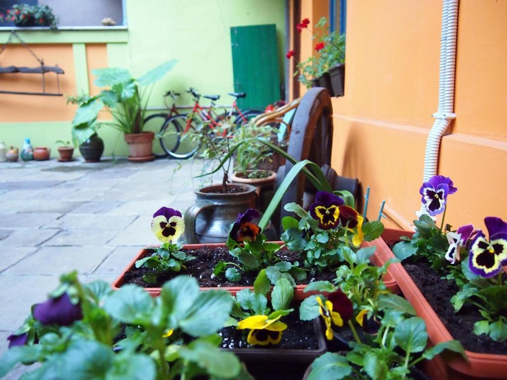 Guest Accommodation Etno Konak Tasana Nis Bagian luar foto